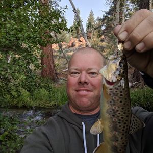 Meet your Posher, Brent